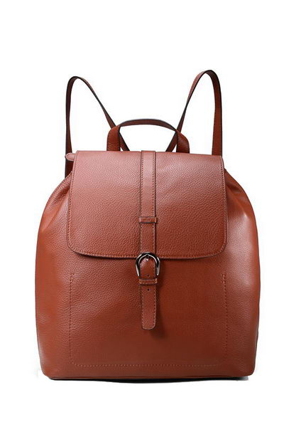 Gucci Backpack in Calfskin Leather 295678 Brown