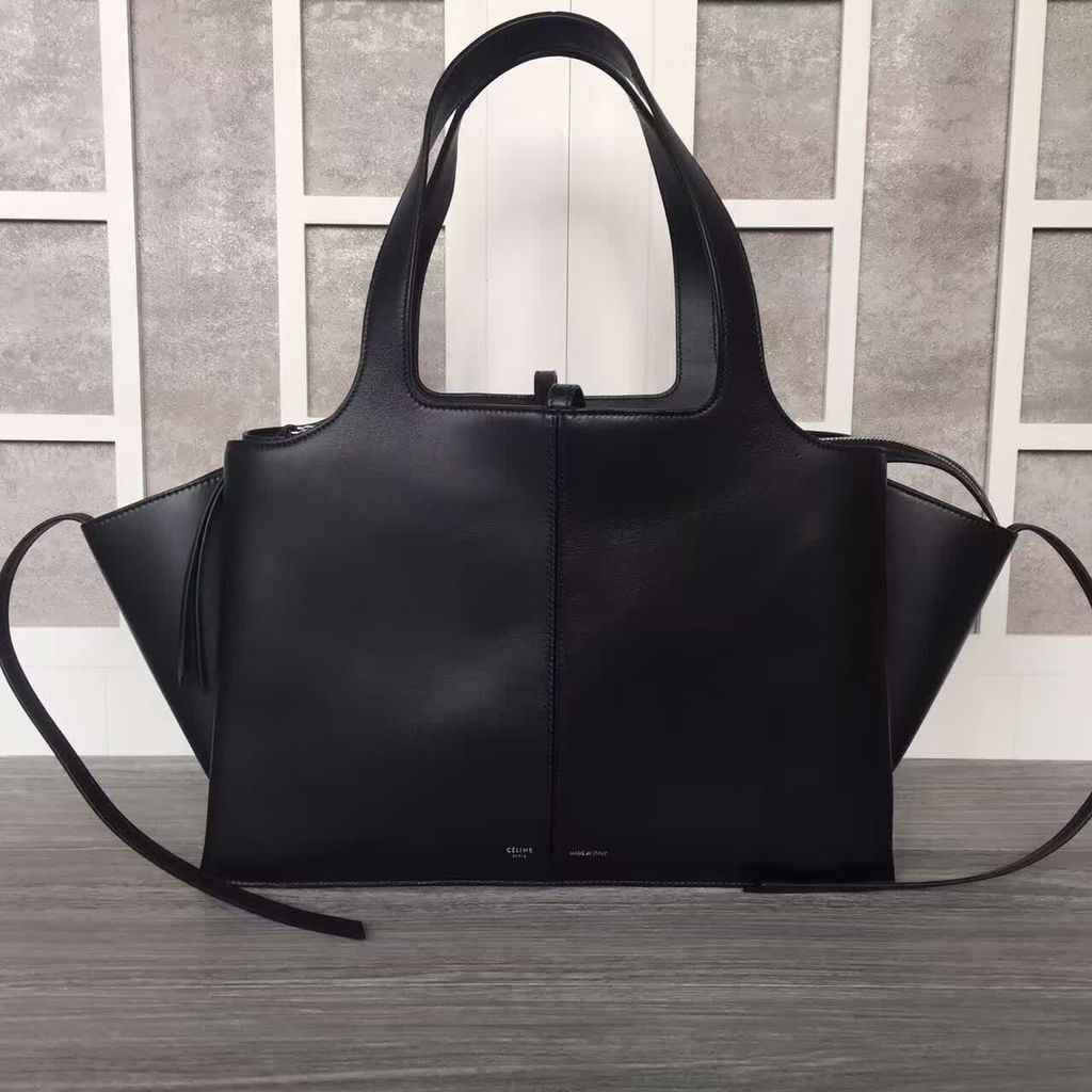 Celine Bag Original Leather CL22901