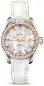 Omega Seamaster Aqua Terra Automatic Watch 158590B