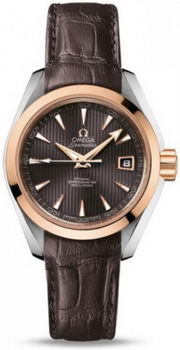 Omega Seamaster Aqua Terra Automatic Watch 158590H