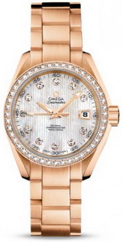 Omega Seamaster Aqua Terra Automatic Watch 158591H