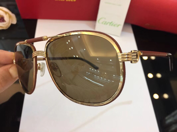 Cartier Sunglasses CTS18047051
