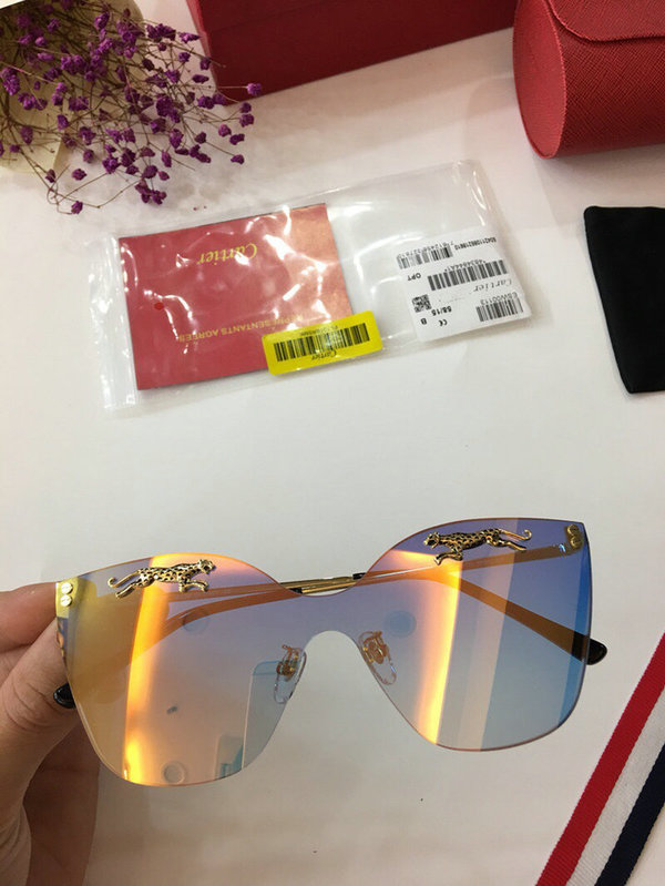 Cartier Sunglasses CTS18047058