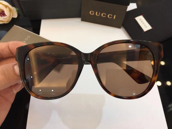 Gucci Sunglasses GGS150272G405