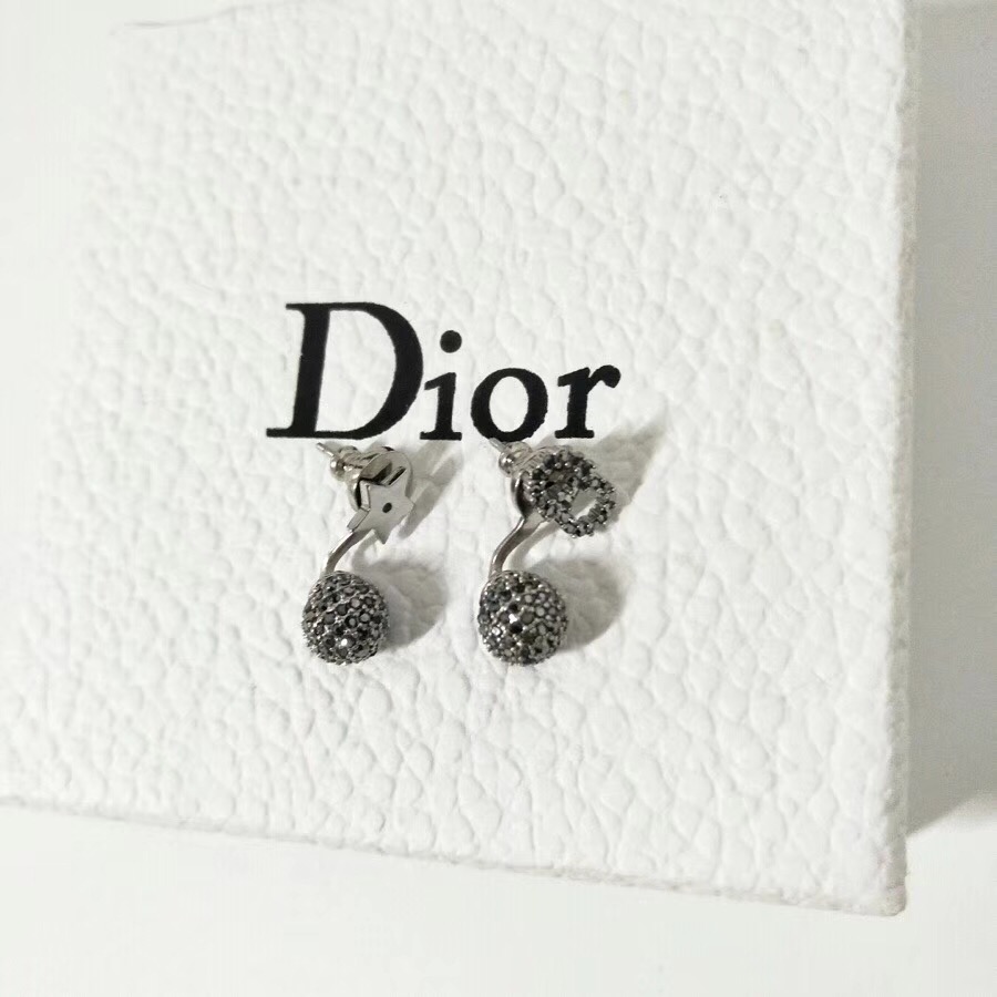 Dior Earrings 3508