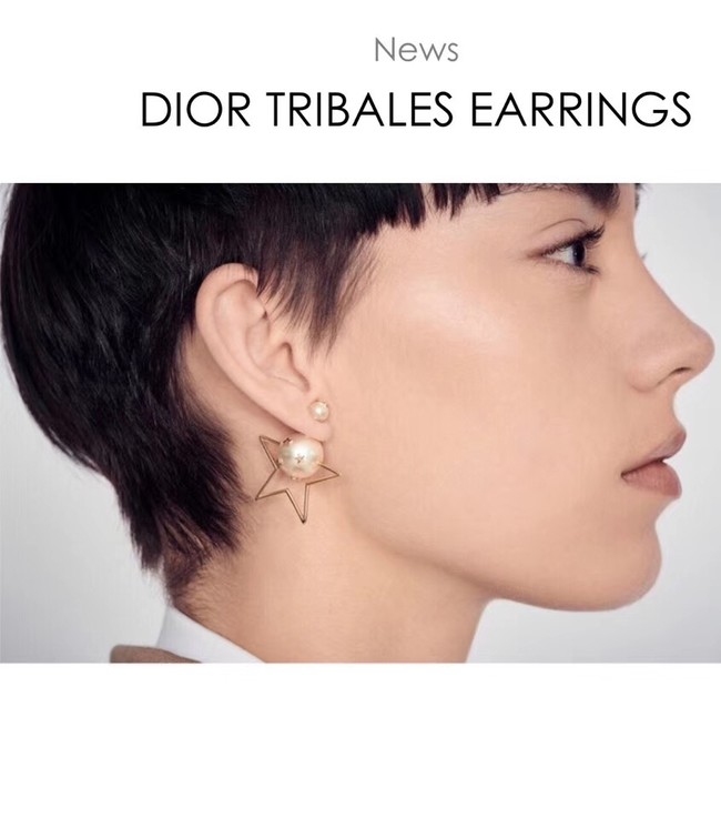 Dior Earrings 4216