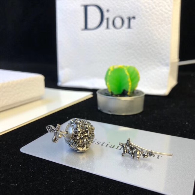 Dior Earrings 4227