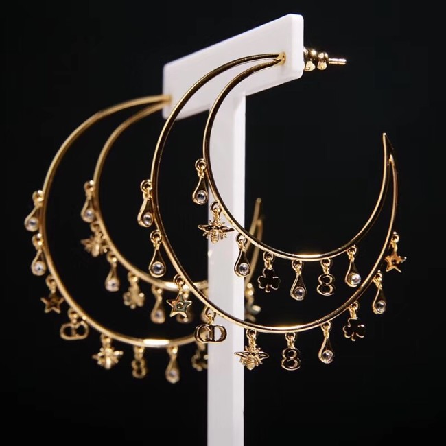 Dior Earrings 18270