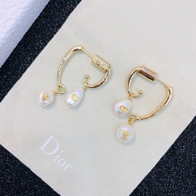 Dior Earrings CE2021