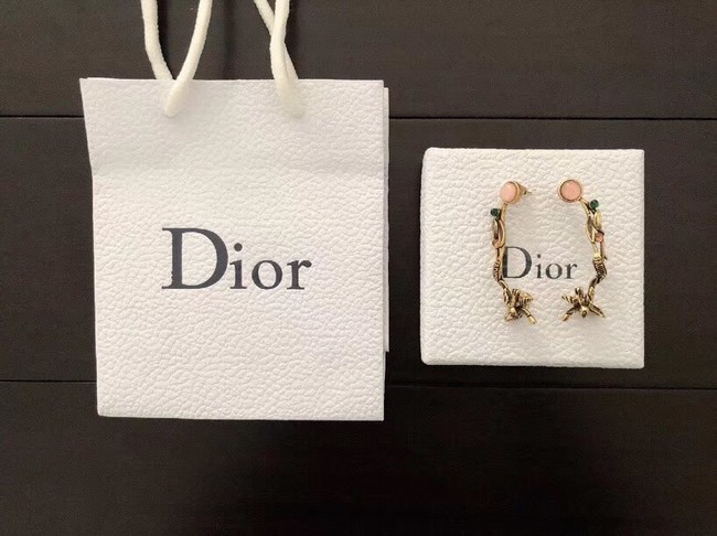 Dior Earrings CE2134