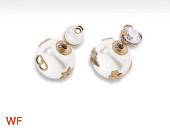 Dior Earrings CE2172