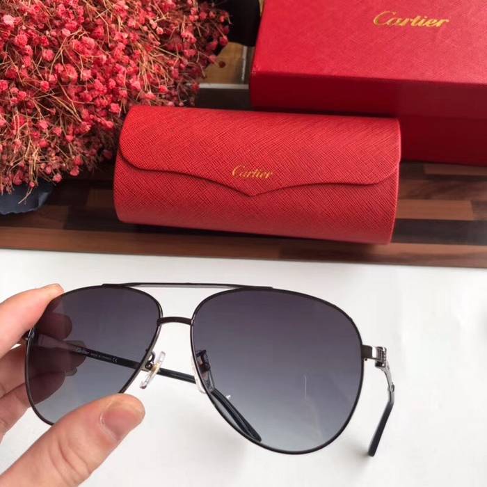 Cartier Sunglasses Top Quality C41049