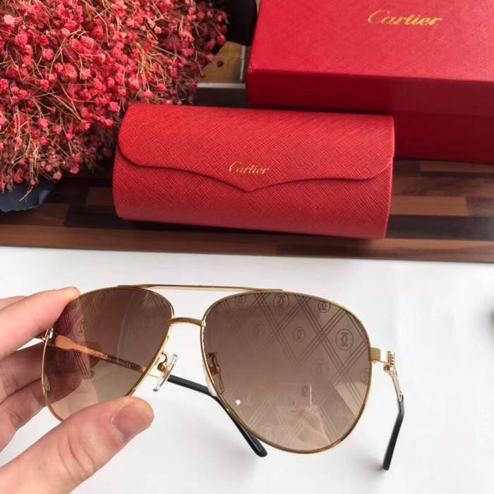 Cartier Sunglasses Top Quality C41053