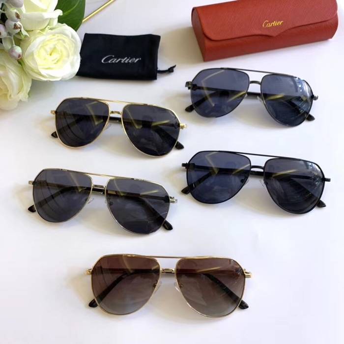 Cartier Sunglasses Top Quality C41104