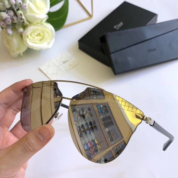 Dior Sunglasses Top Quality D41665
