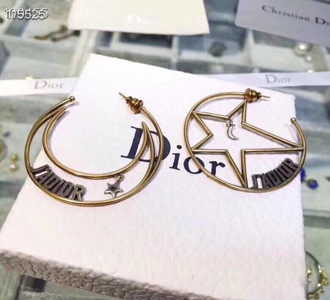 Dior Earrings CE2321