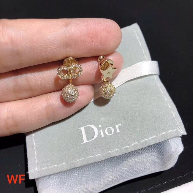 Dior Earrings CE3898