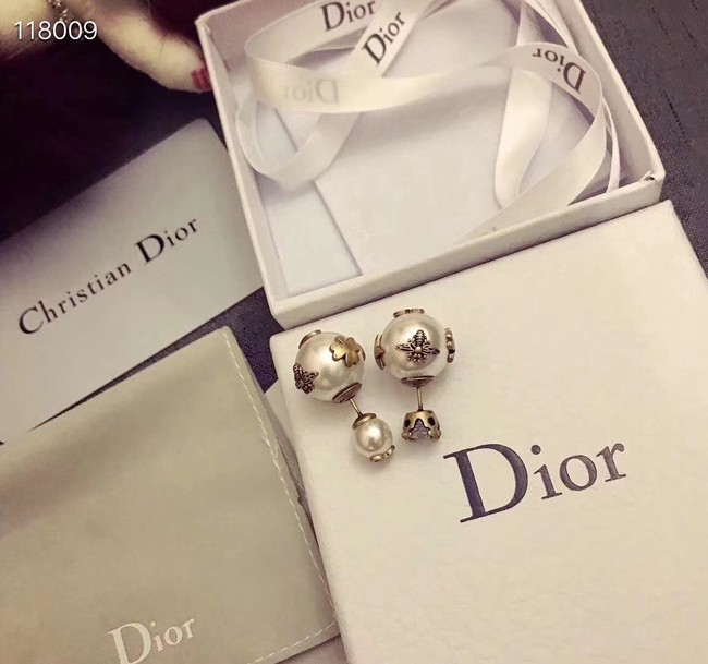 Dior Earrings CE4067