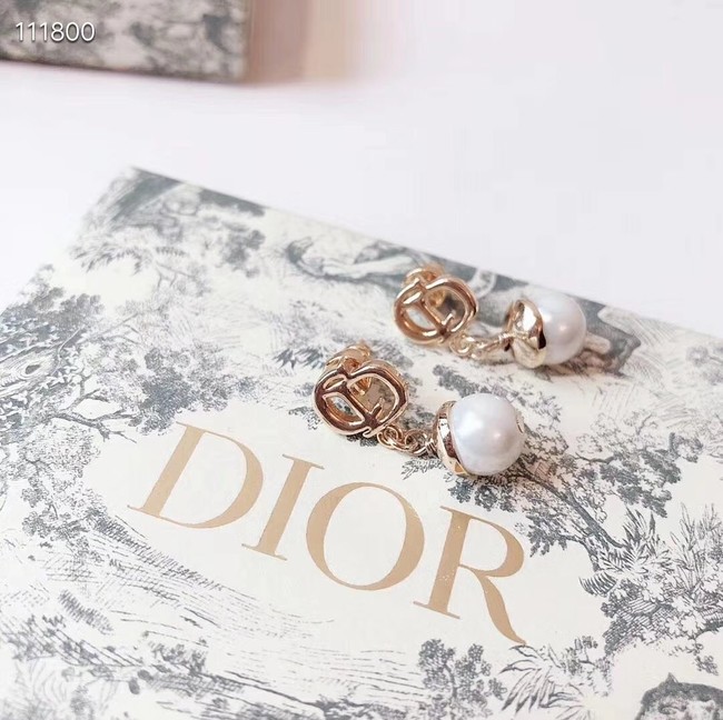 Dior Earrings CE4076