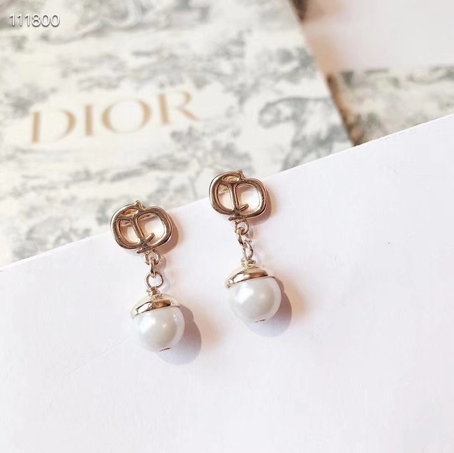 Dior Earrings CE4076