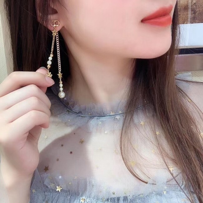 Dior Earrings CE4154