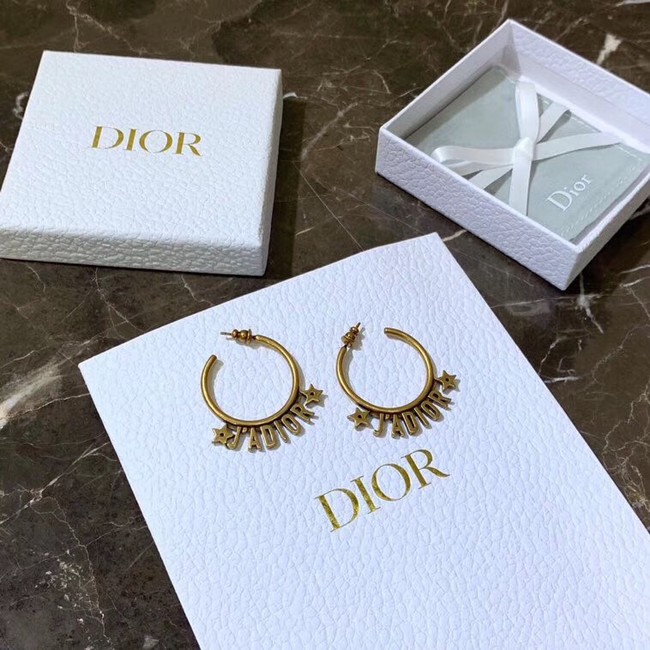 Dior Earrings CE4155