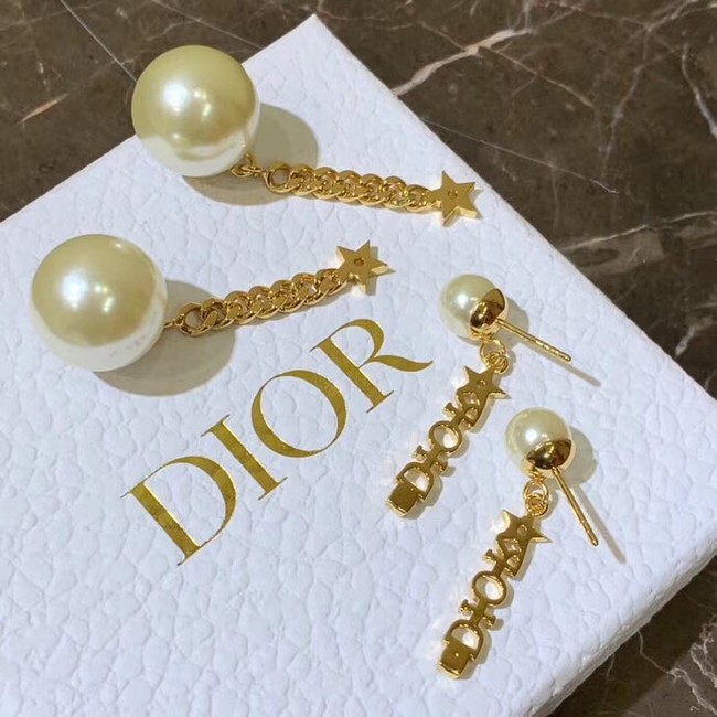 Dior Earrings CE4157