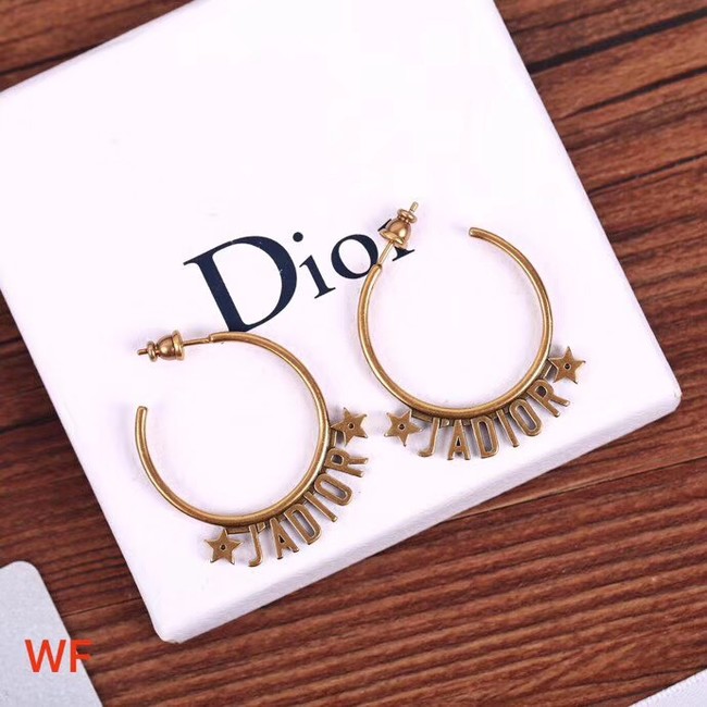 Dior Earrings CE4266