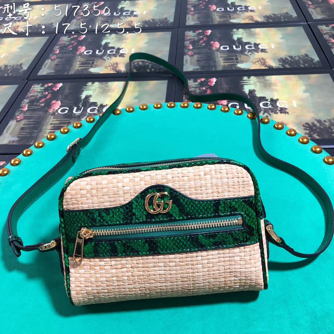 Gucci Ophidia mini bag 517350 green
