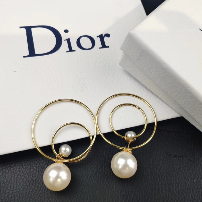 Dior Earrings CE4505