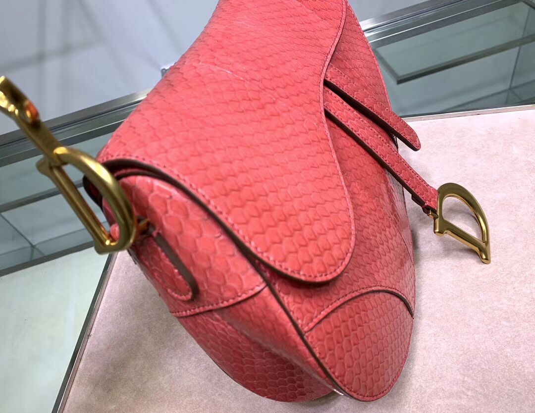 Dior SADDLE Snake skin tote C9046 pink