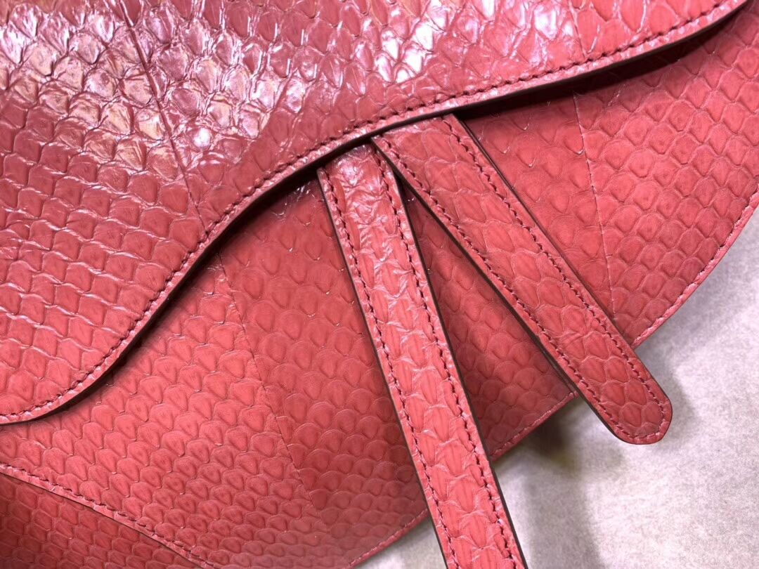 Dior SADDLE Snake skin tote C9046 pink