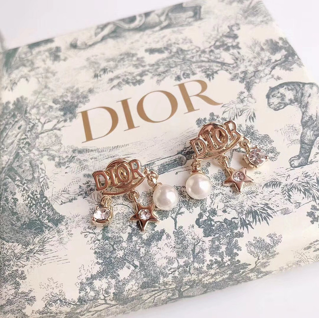 Dior Earrings CE4785