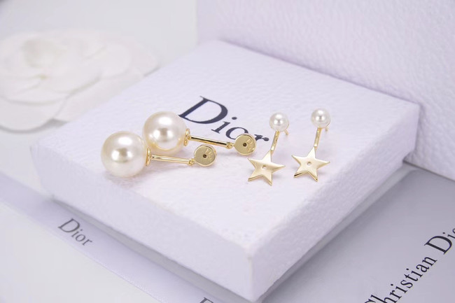Dior Earrings CE4788