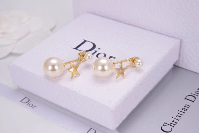 Dior Earrings CE4788