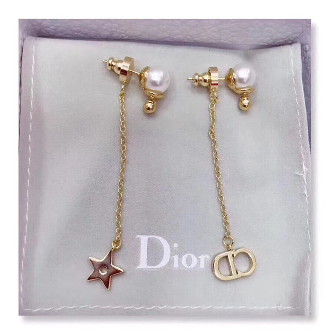 Dior Earrings CE4801