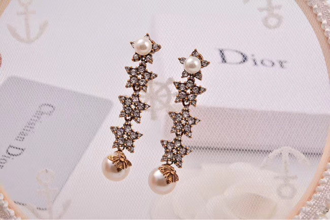Dior Earrings CE4806