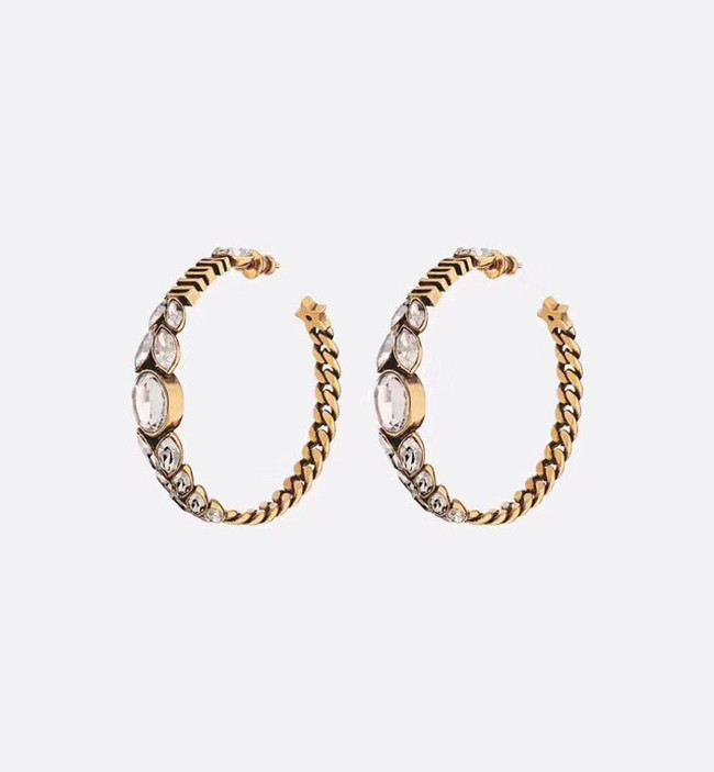 Dior Earrings CE4892