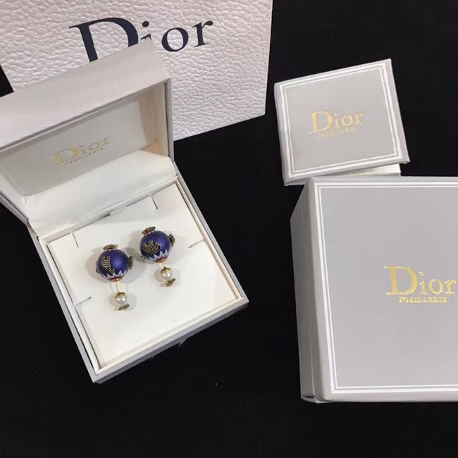 Dior Earrings CE4894