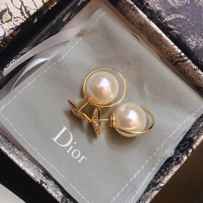 Dior Earrings CE4896