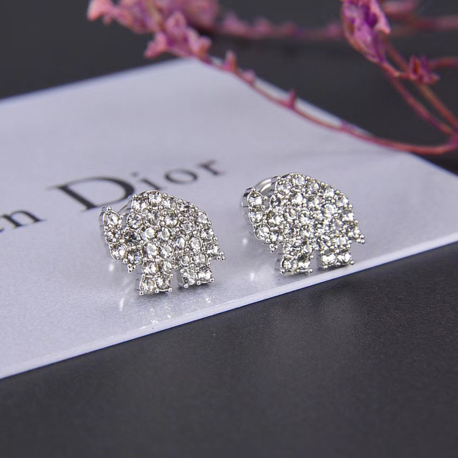 Dior Earrings CE5030