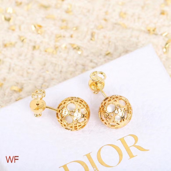 Dior Earrings CE5254