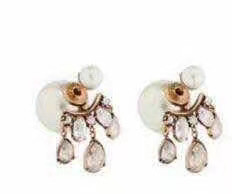 Dior Earrings CE5456