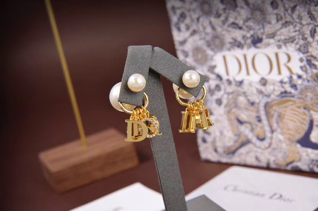 Dior Earrings CE5671