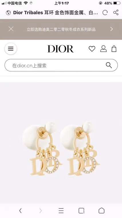 Dior Earrings CE5671