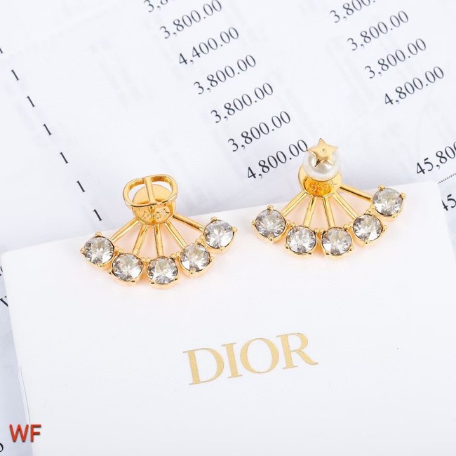 Dior Earrings CE5749