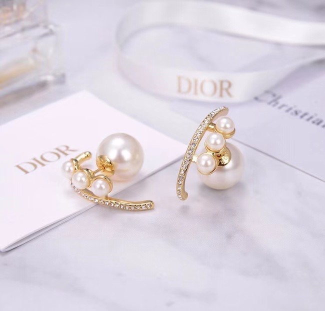 Dior Earrings CE6055