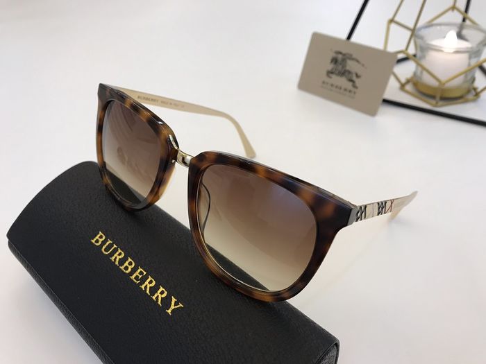 Burberry Sunglasses Top Quality B6001_0060