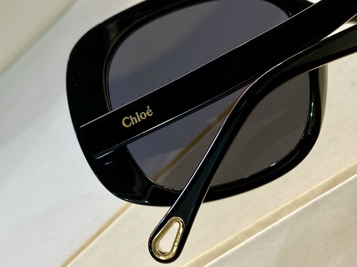 Chloe Sunglasses Top Quality C6001_0034