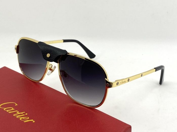 Cartier Sunglasses Top Quality B6001_0089